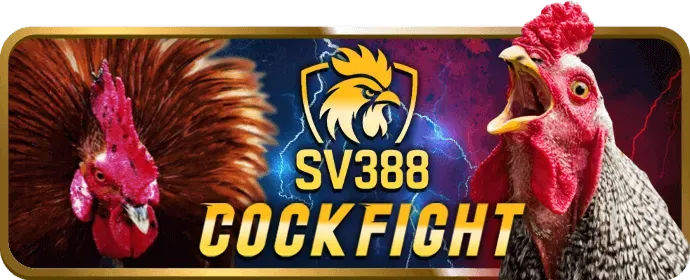 Lợi ích khi chơi đá gà tại S689